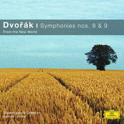 Cover of Dvorák: Symphonies Nos.8 & 9 "From the New World"