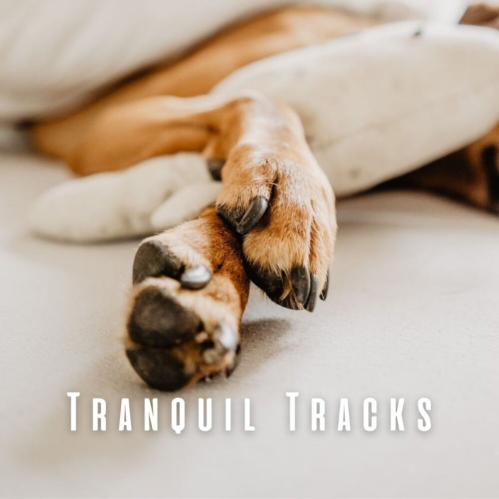 Picture of Tranquil Tracks: Serenading Our Pets with Music