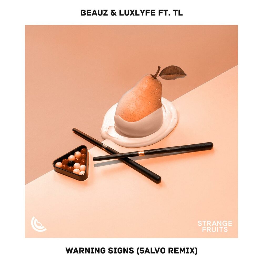 Picture of Warning Signs (feat. TL) [5ALVO Remix]