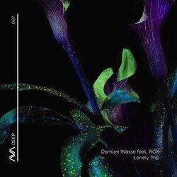 Cover of Lonely Trip