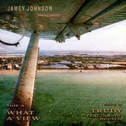 Cover of What A View / Trudy