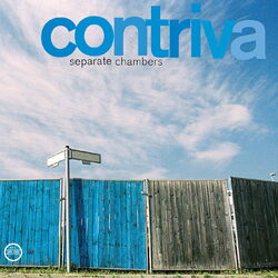 Cover of Separate Chambers
