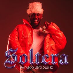 Cover of Soltera