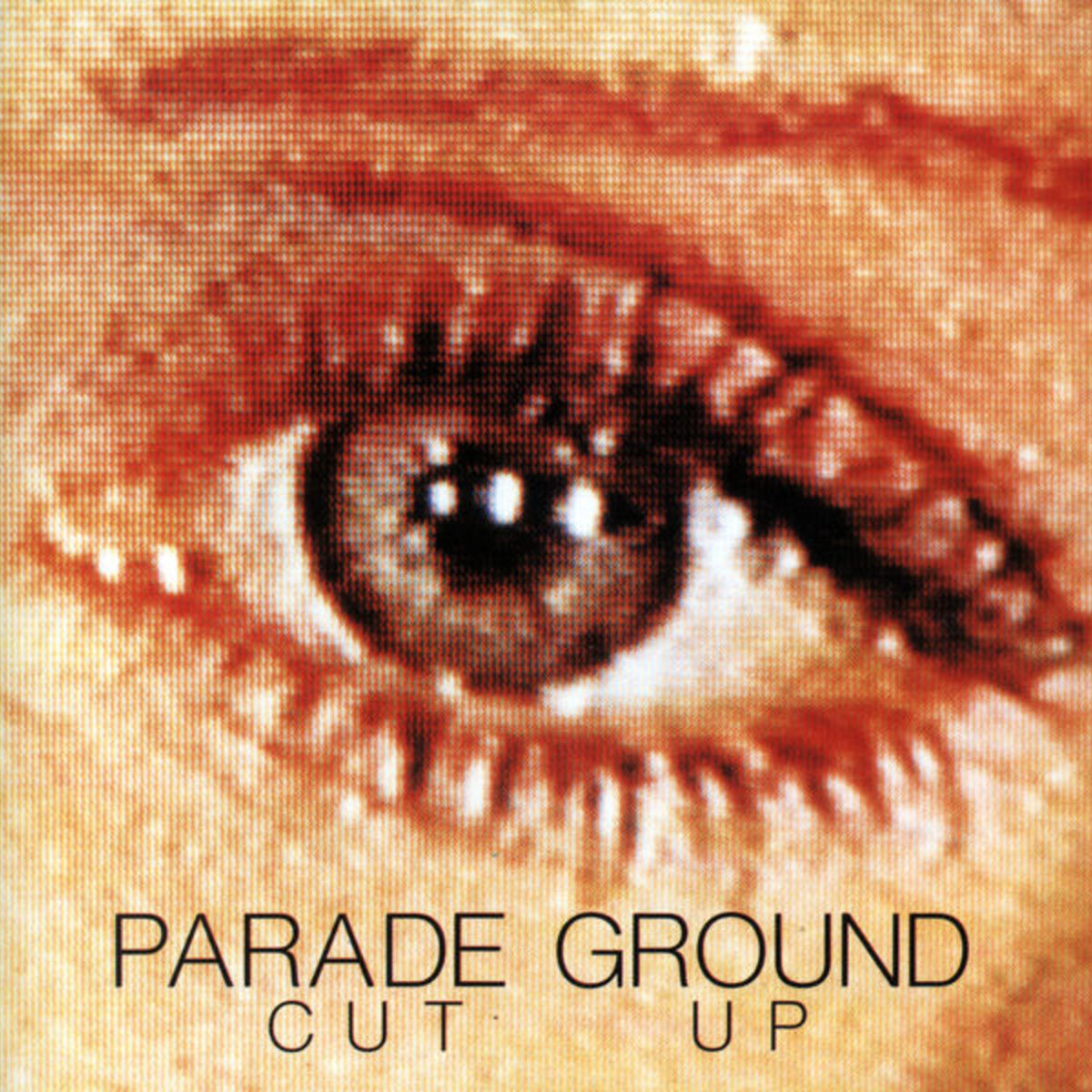 Album cover of Cut Up