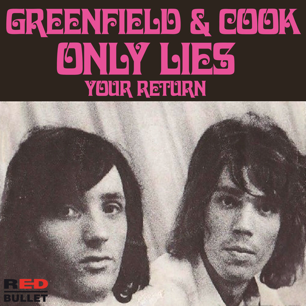 Picture of Only Lies