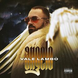 Cover of Angelo