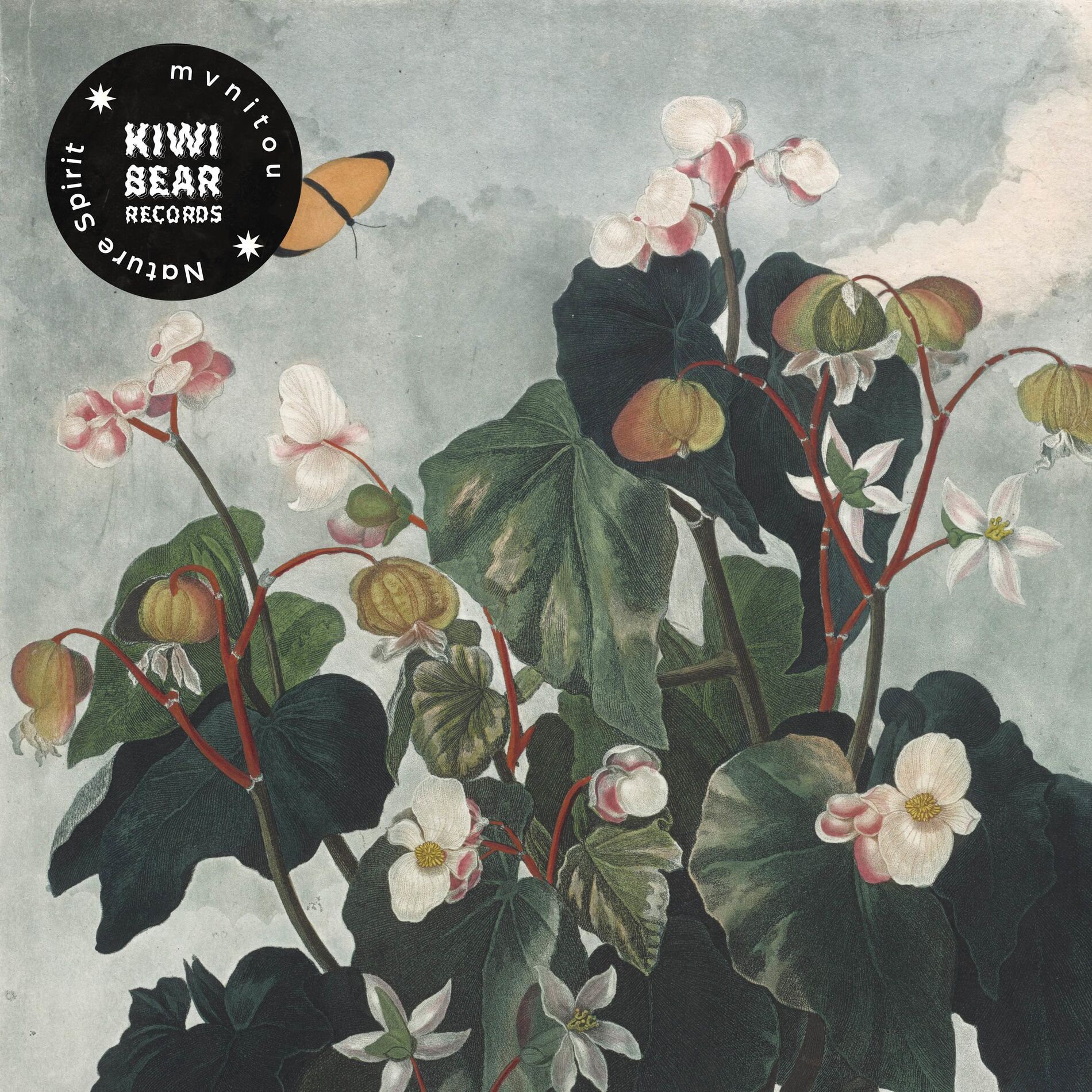Album cover of Nature Spirit