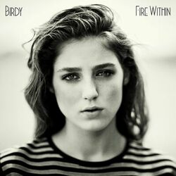 Cover of Fire Within
