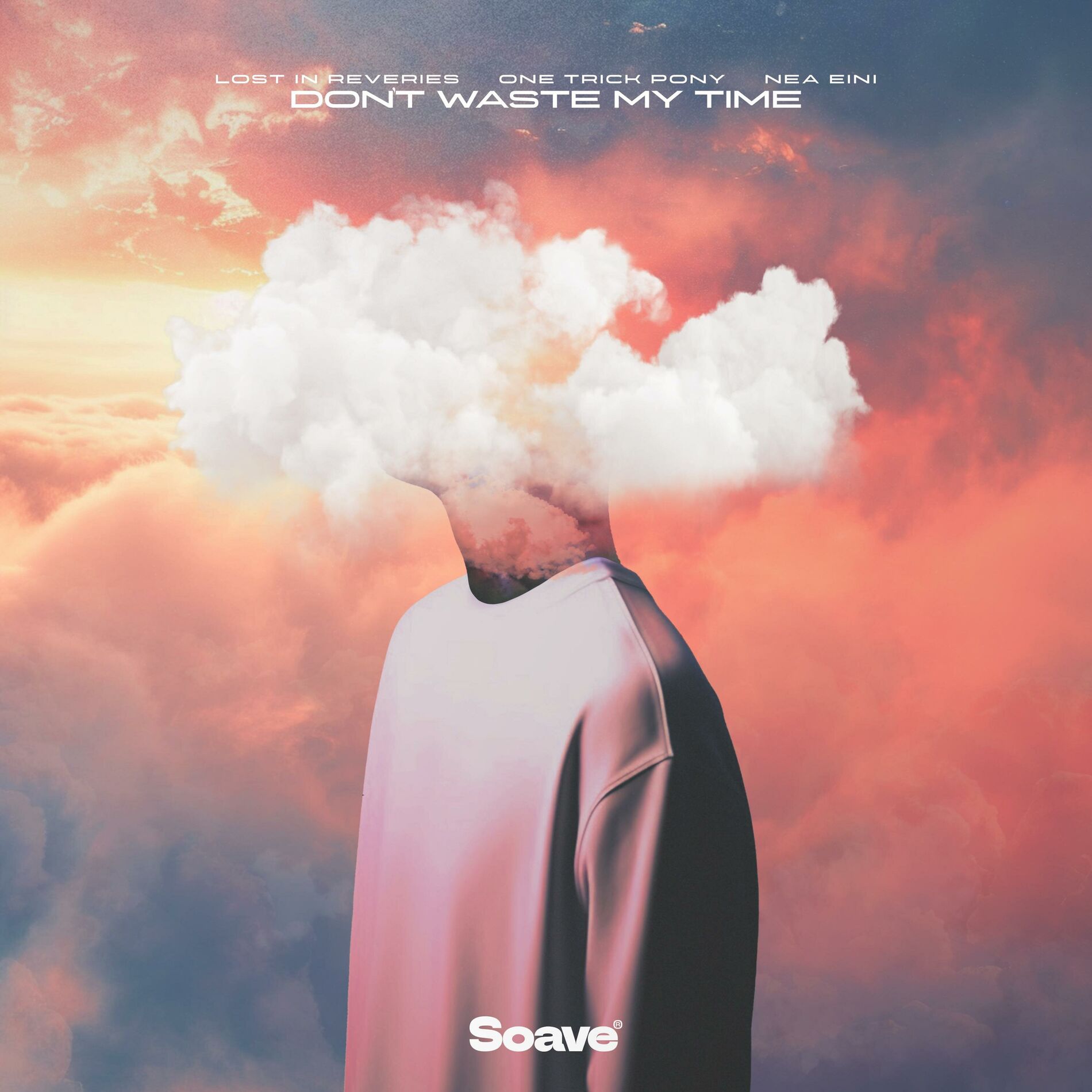 Album cover of Don't Waste My Time