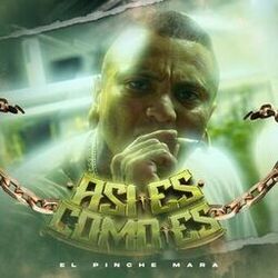music cover