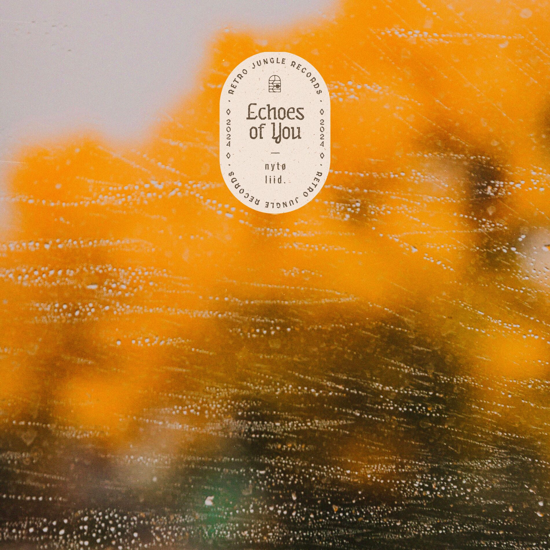Album cover of Echoes of You