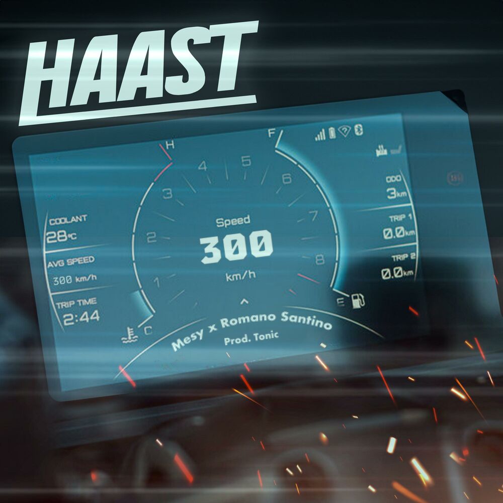 Picture of Haast