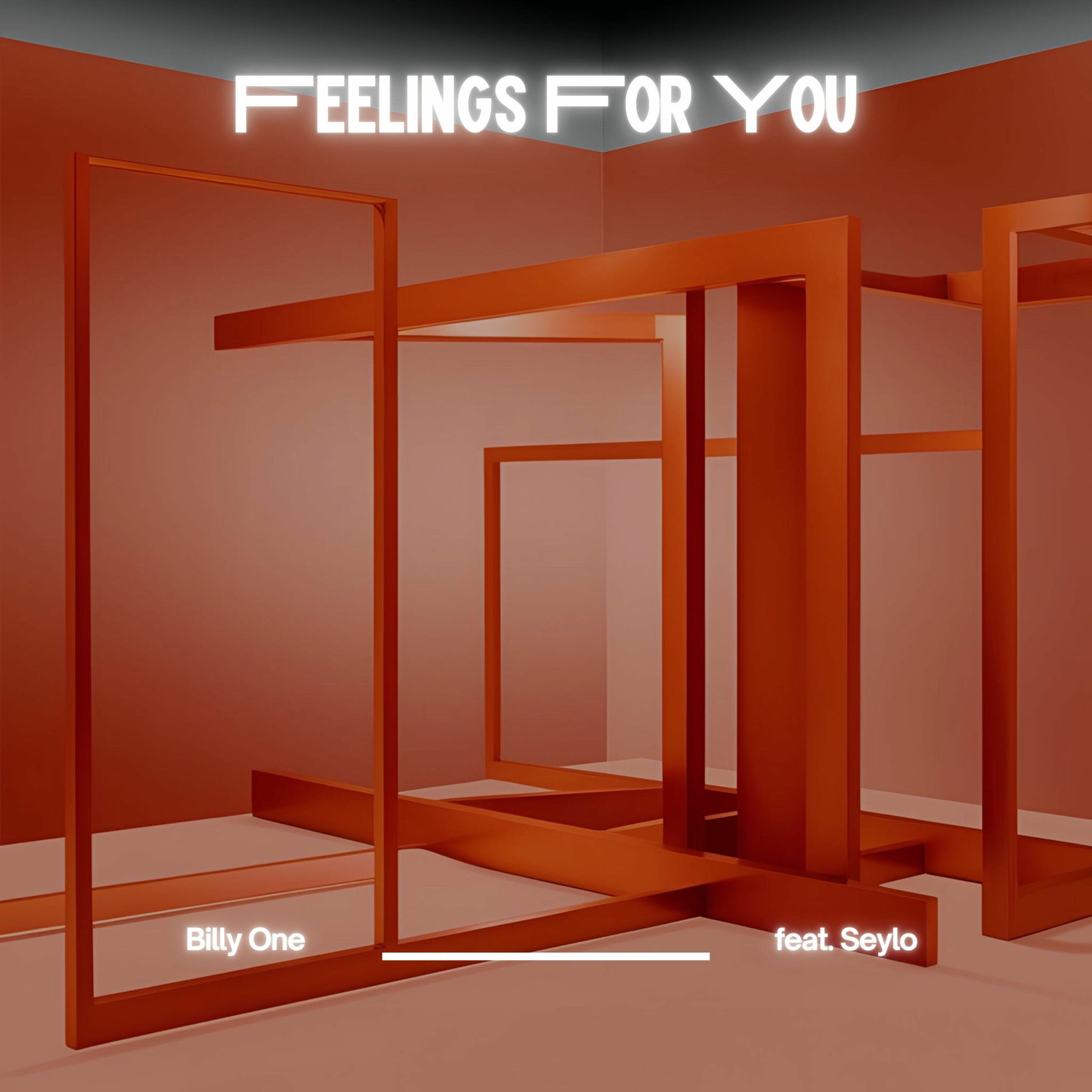 Album cover of Feelings for You