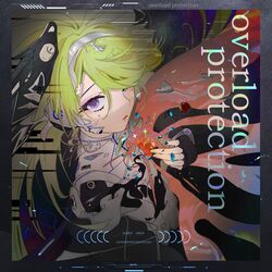 Cover of Overload Protection