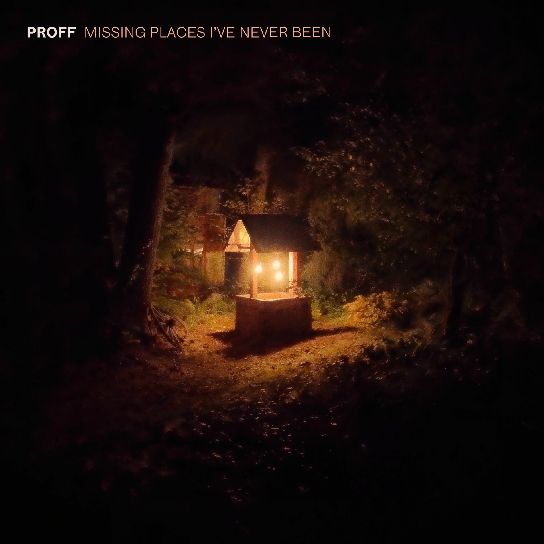 Album cover of Missing Places I've Never Been