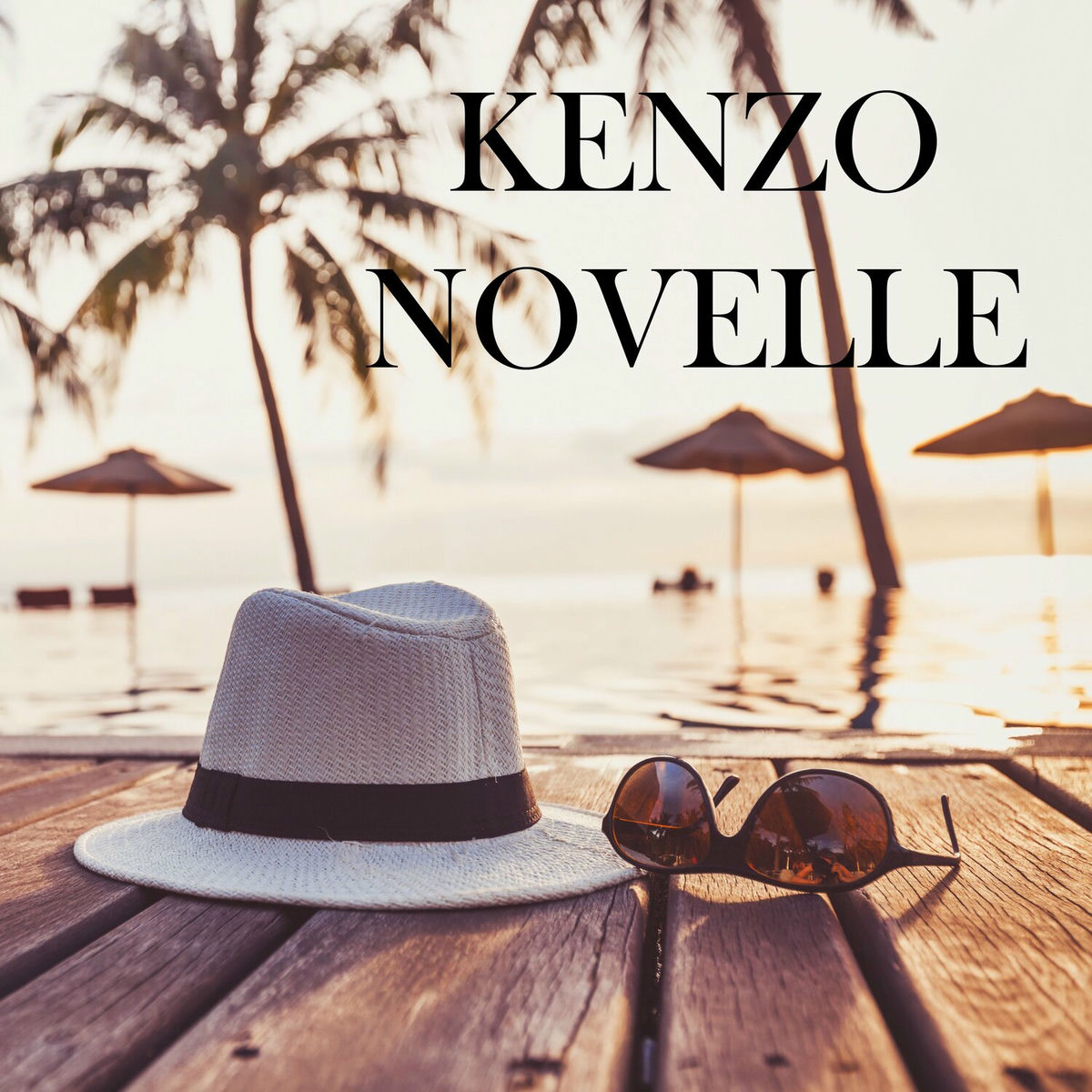 Album cover of One night in Nizza