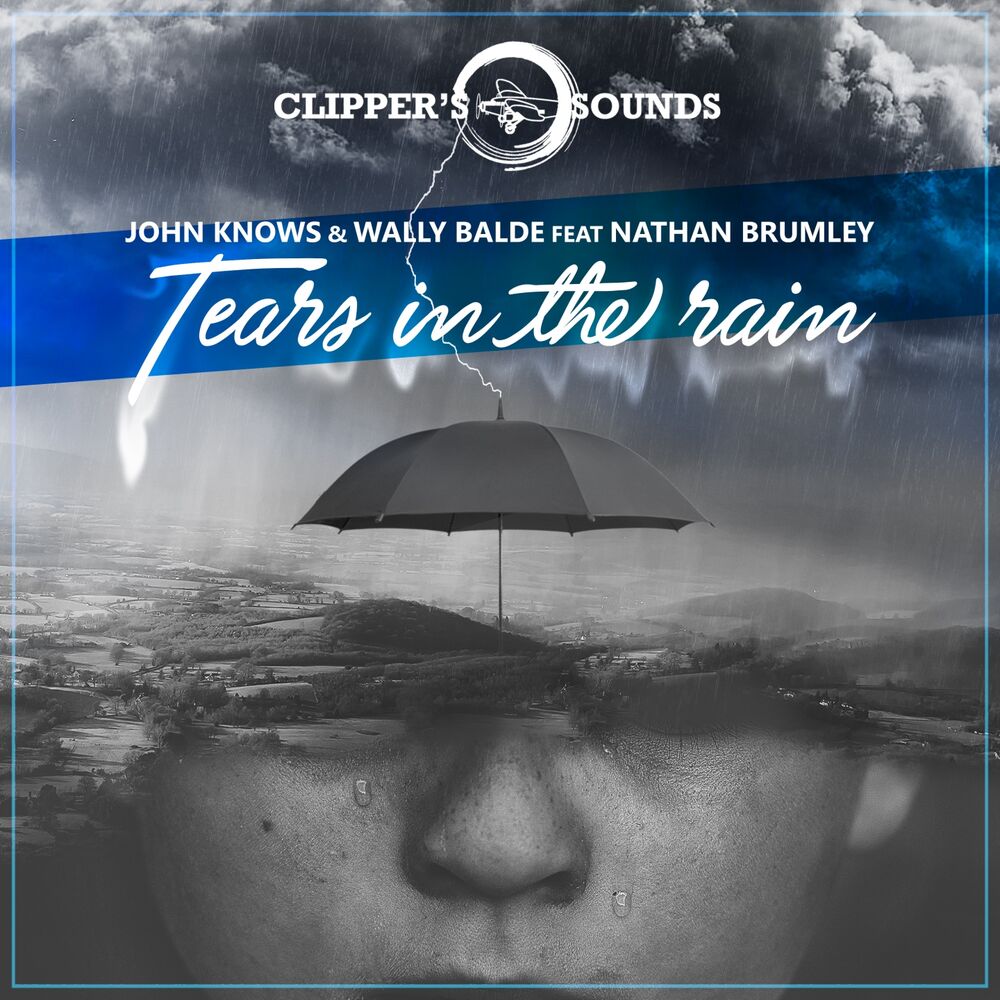 Picture of Tears in the Rain