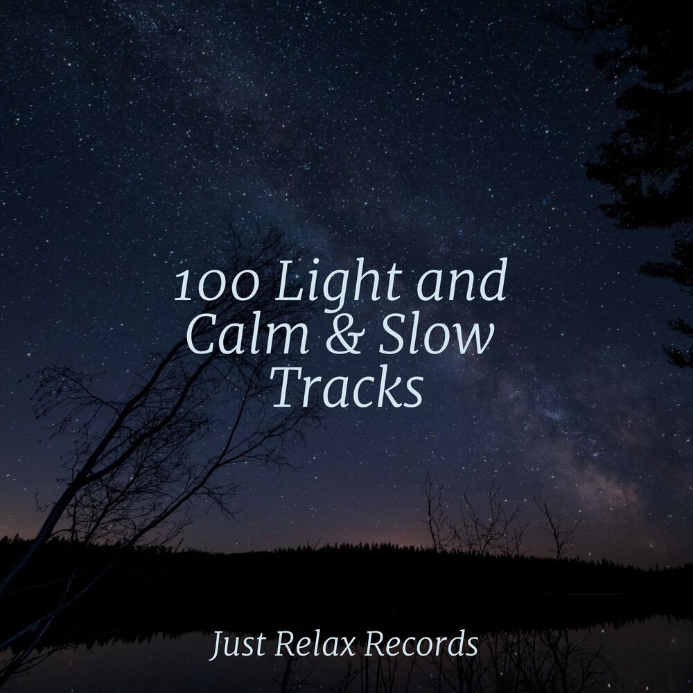 Picture of 100 Light and Calm & Slow Tracks