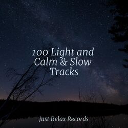 Cover of 100 Light and Calm & Slow Tracks