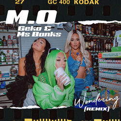 Cover of Wondering (Remix)