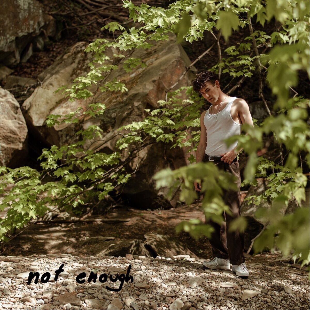 Album cover of Not Enough