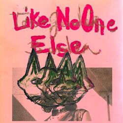 Cover of Like No One Else