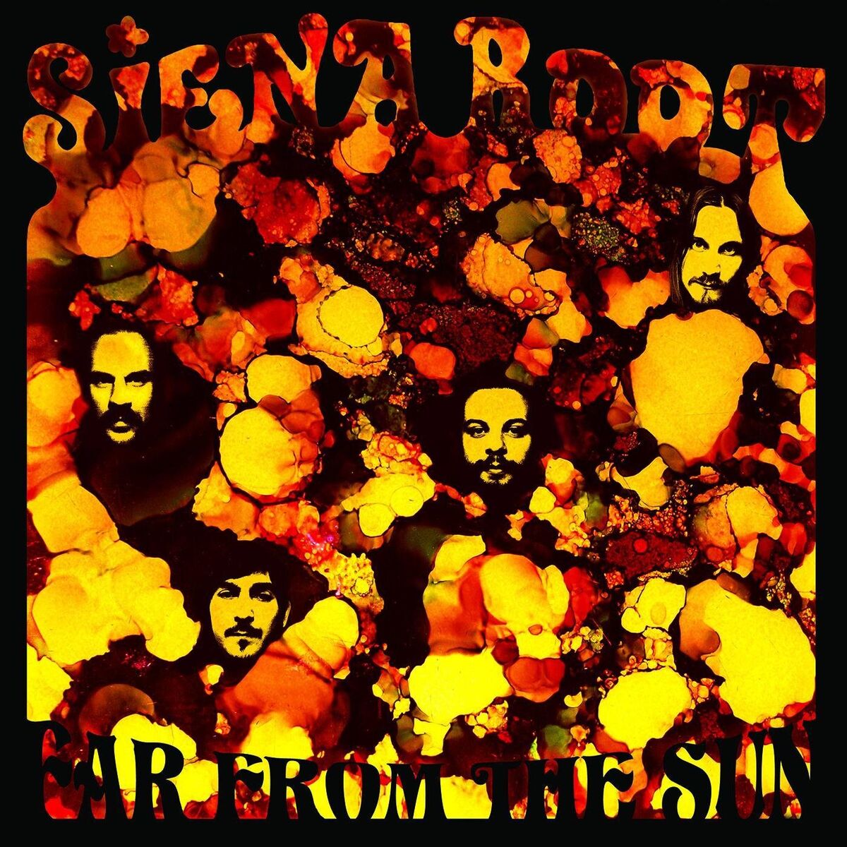 Album cover of Far From the Sun