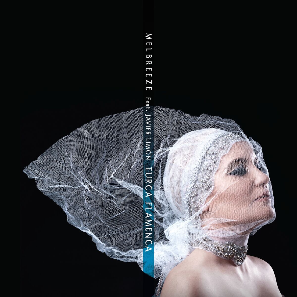 Album cover of Turca Flamenca