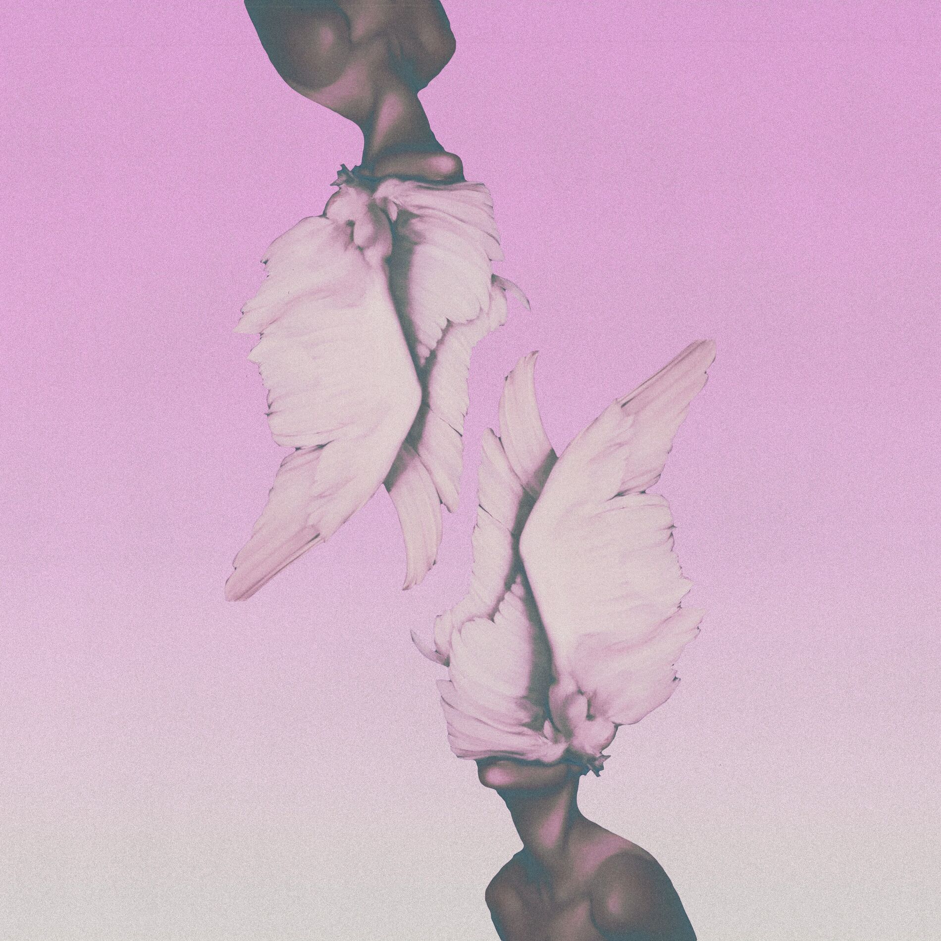 Album cover of Angel Numbers