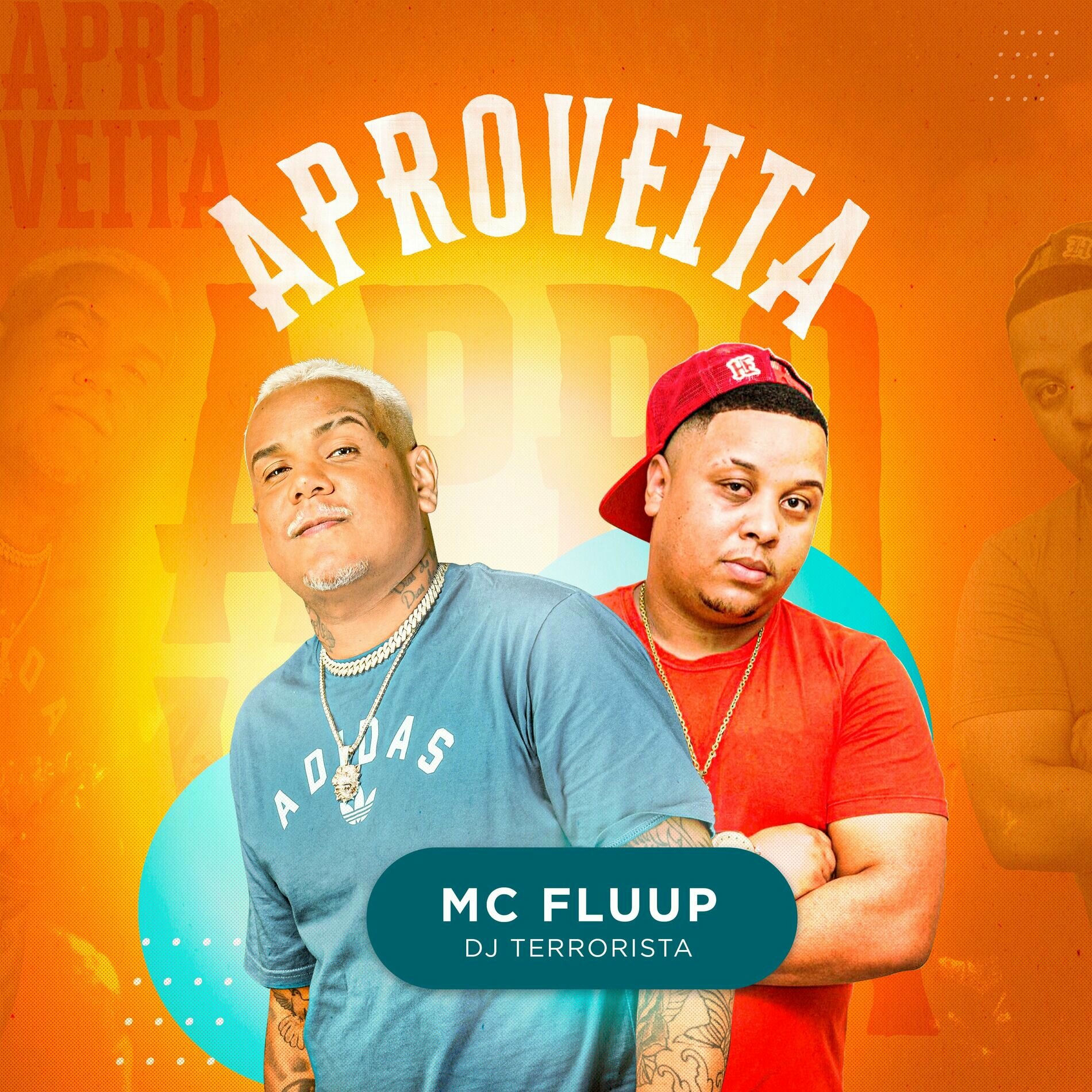 Album cover of Aproveita