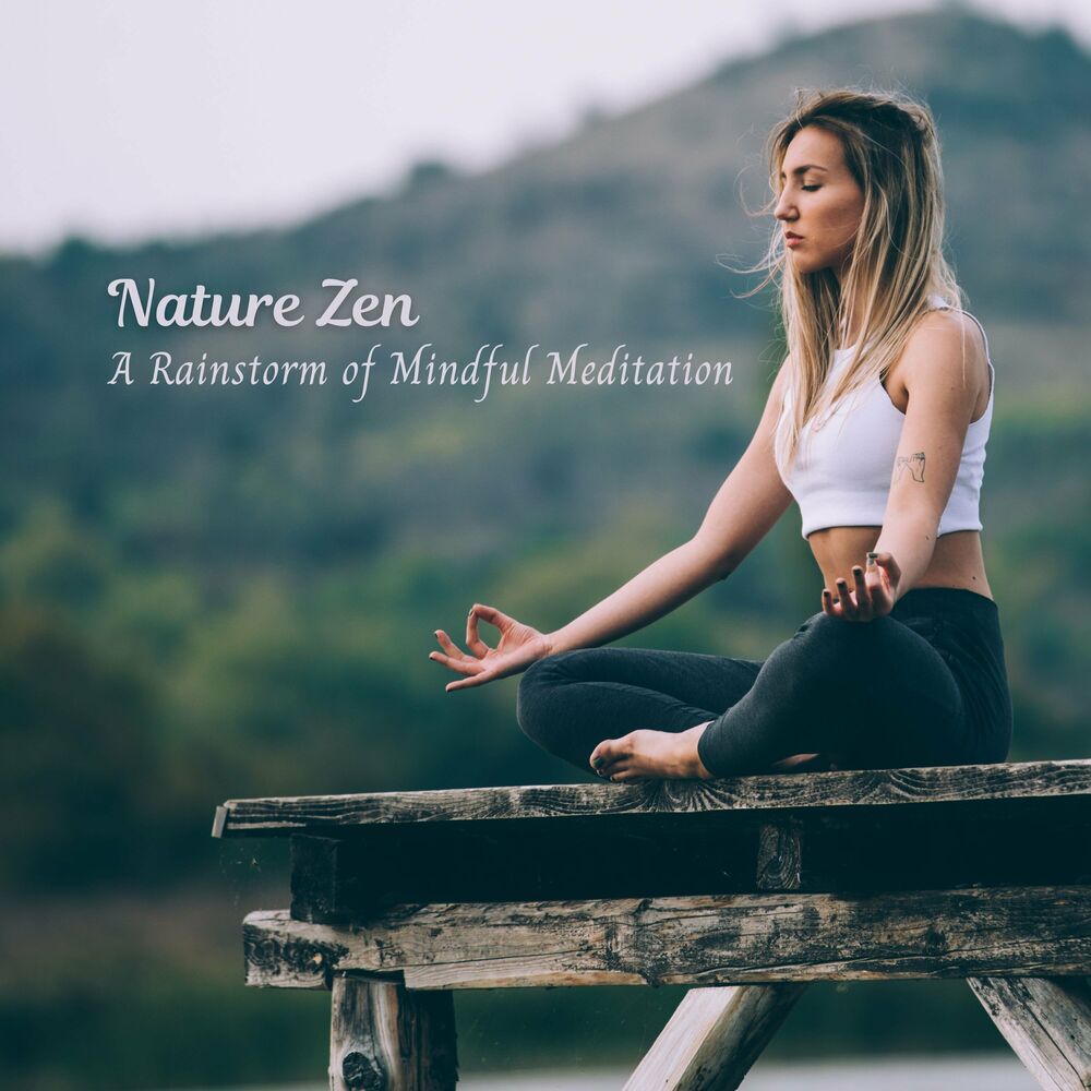 Picture of Nature Zen: A Rainstorm of Mindful Meditation