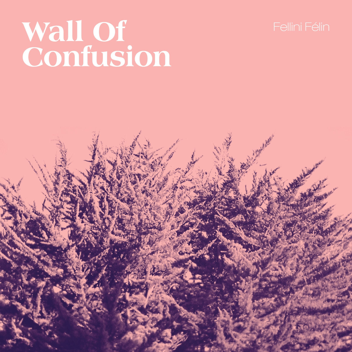 Album cover of Wall of Confusion