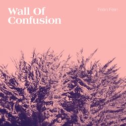 Cover of Wall of Confusion