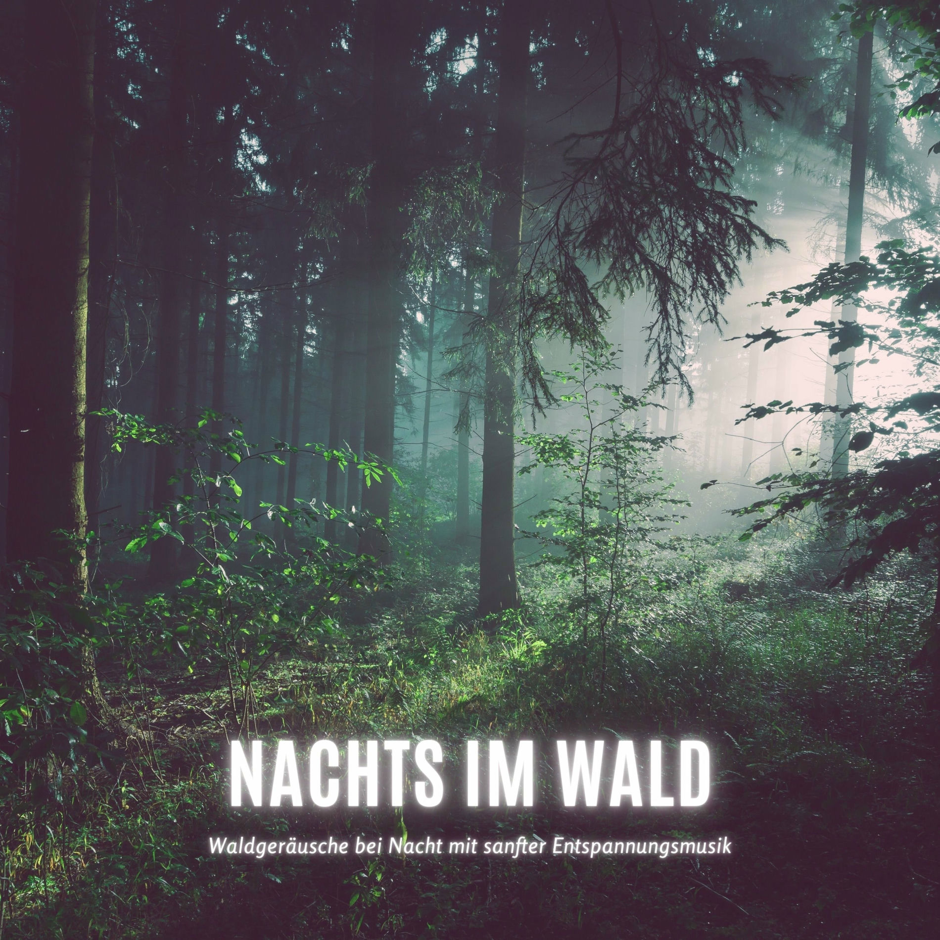 Album cover of Naturgeräusche für Autogenes Training