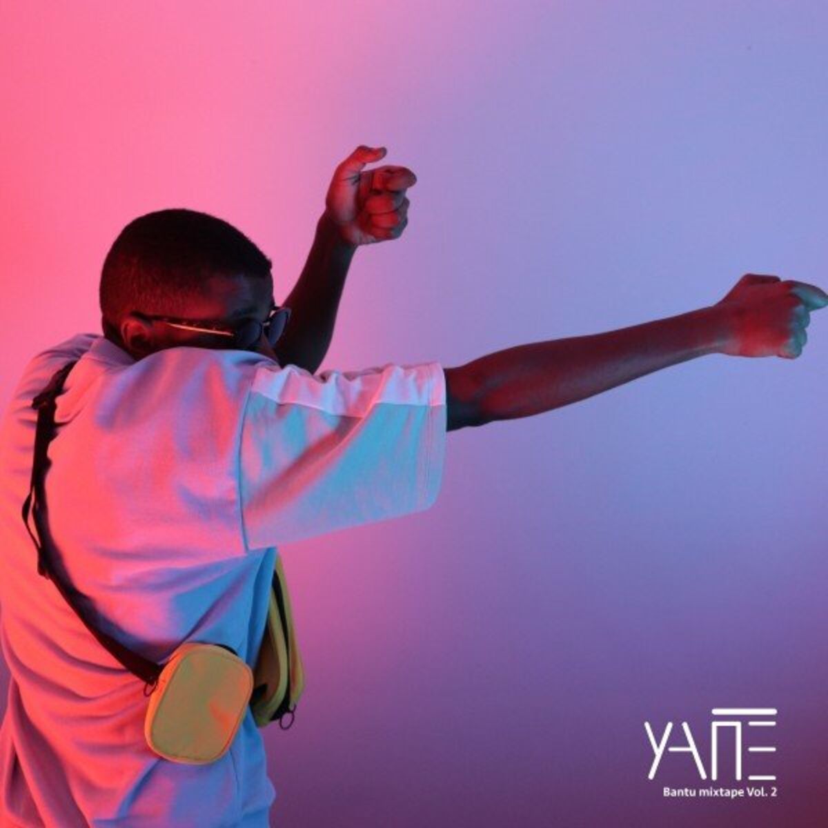Album cover of Fly