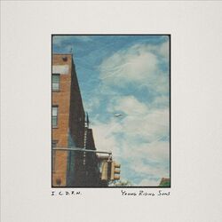 Cover of I.C.D.R.N.