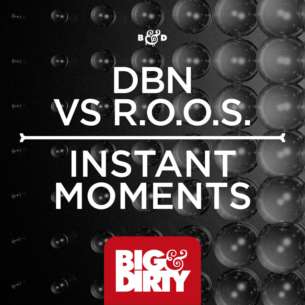 Picture of Instant Moments
