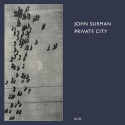 Cover of Private City