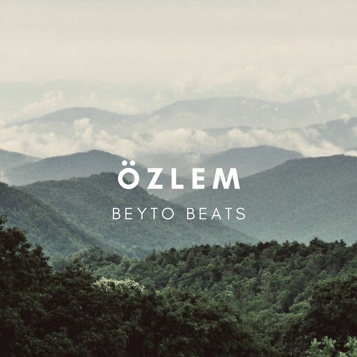 Album cover of Özlem