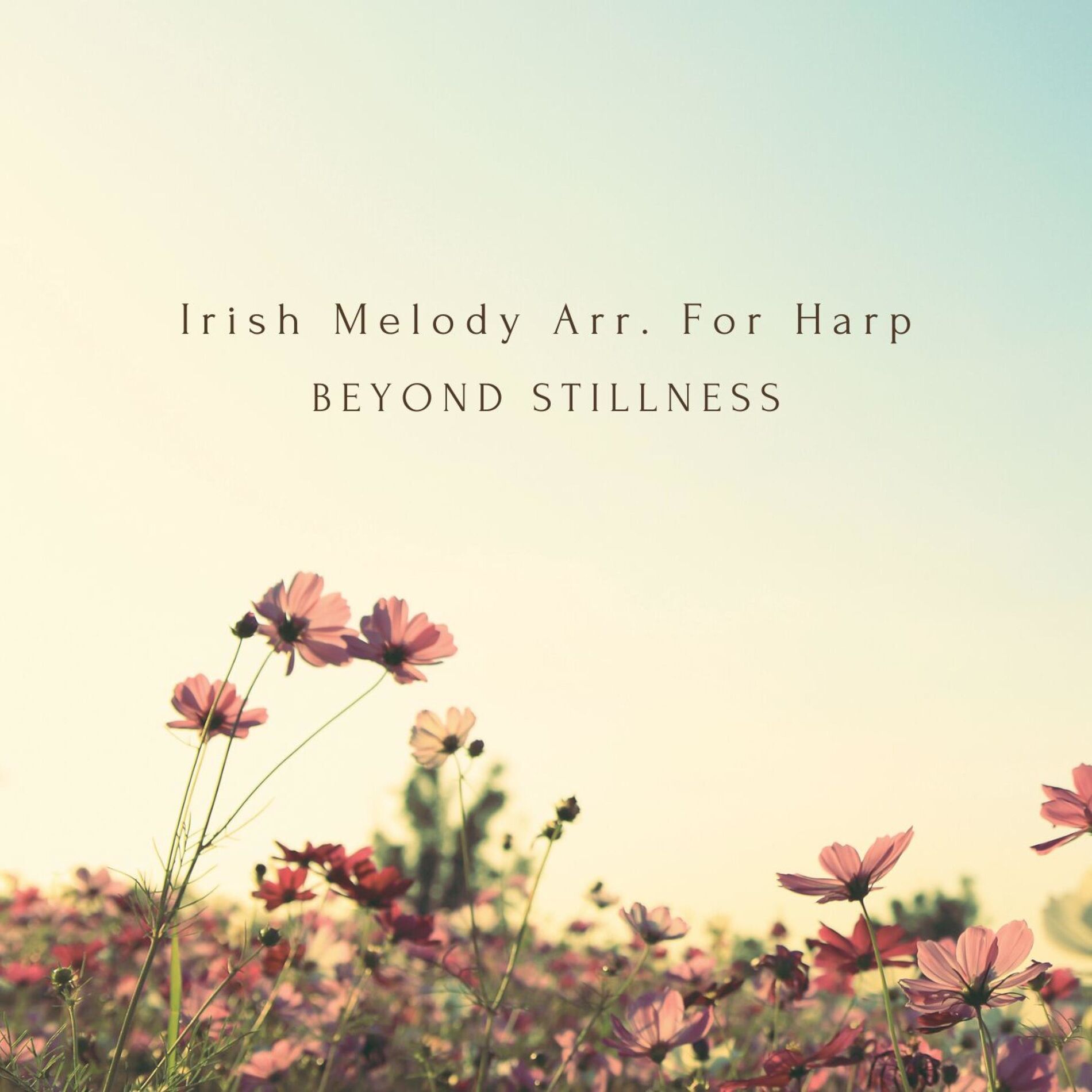 Album cover of Irish Melody Arr. For Harp