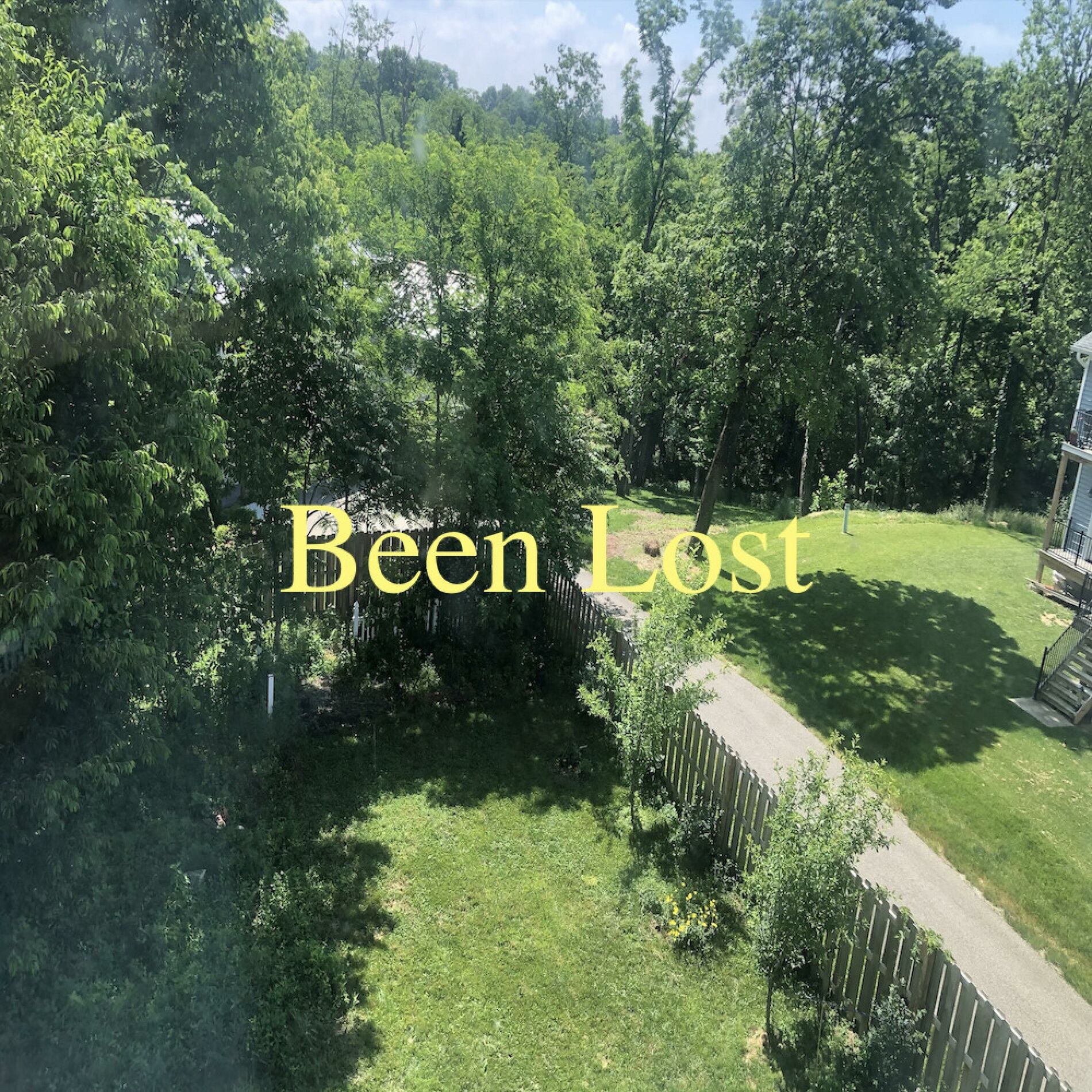 Album cover of Been Lost (feat. Banes World)
