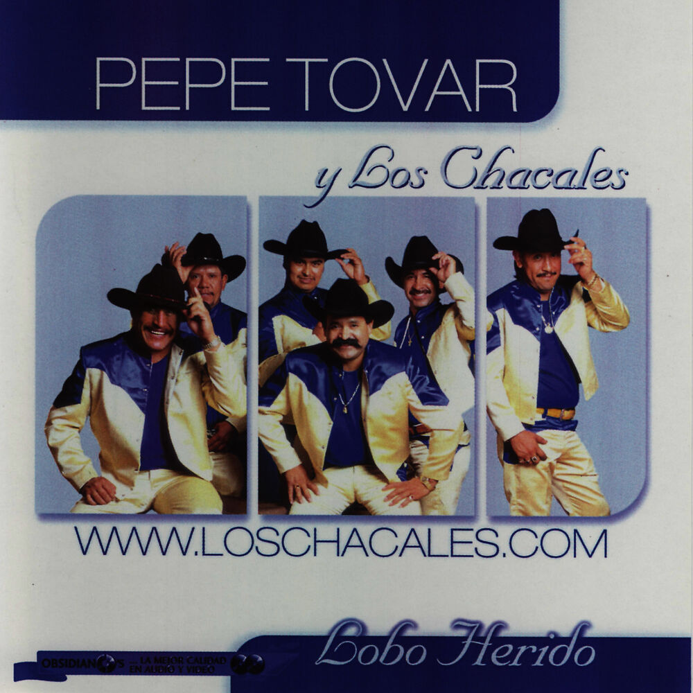 Picture of Lobo Herido