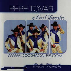 Cover of Lobo Herido