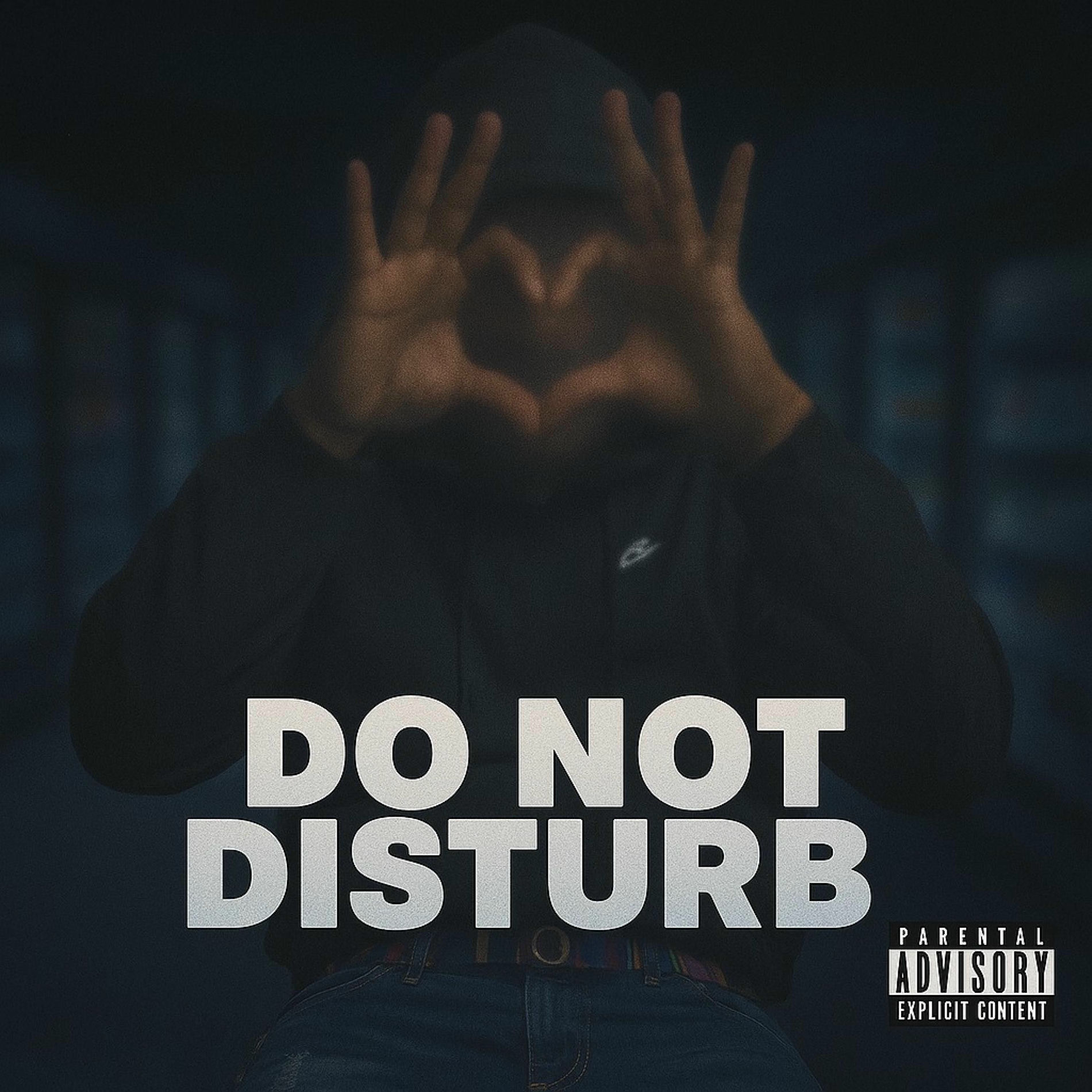 Album cover of Do Not Disturb (feat. Tru)
