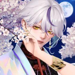 Cover of Sakura