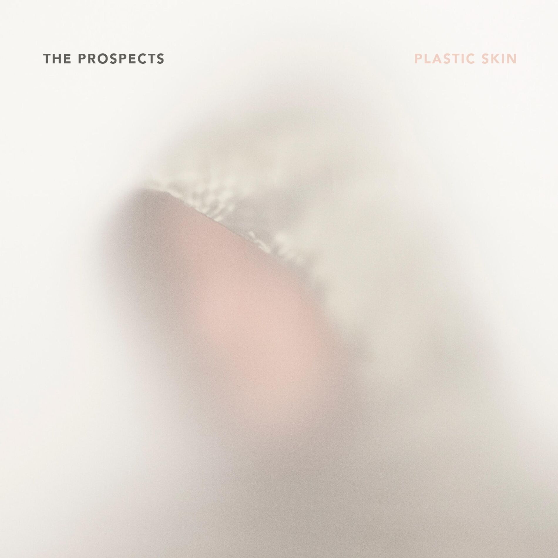 Album cover of Plastic Skin