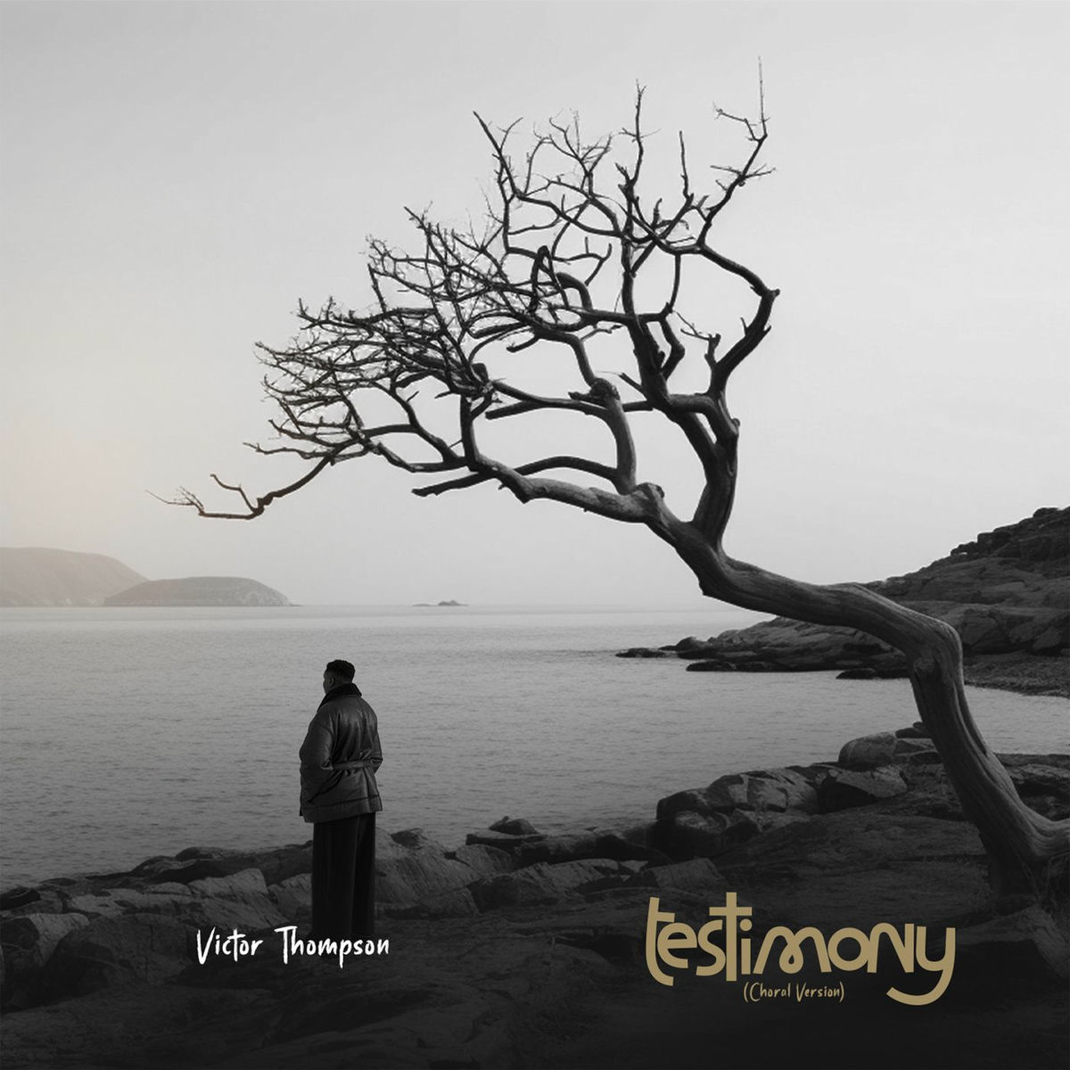 Album cover of Testimony