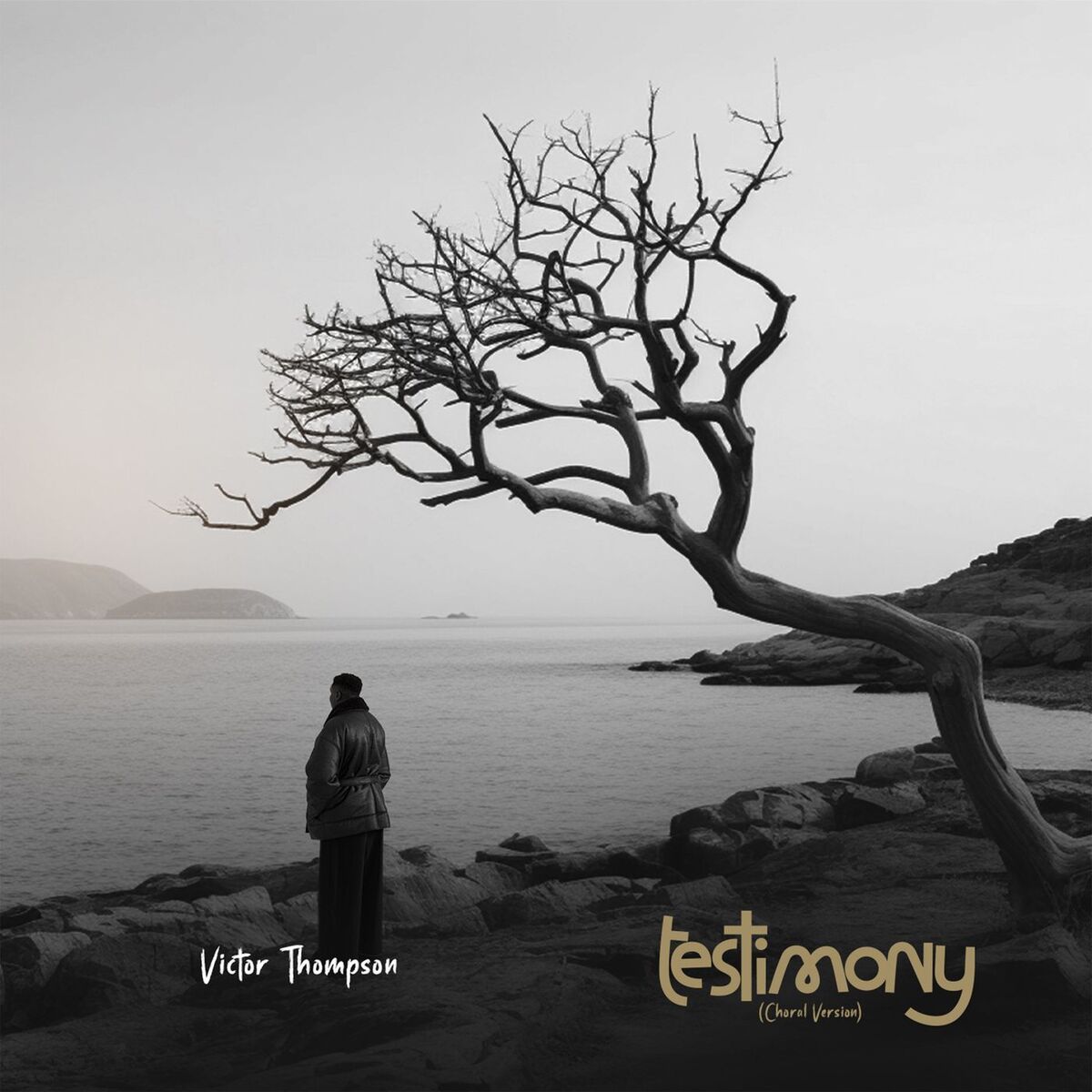 Album cover of Testimony (Choral Version)