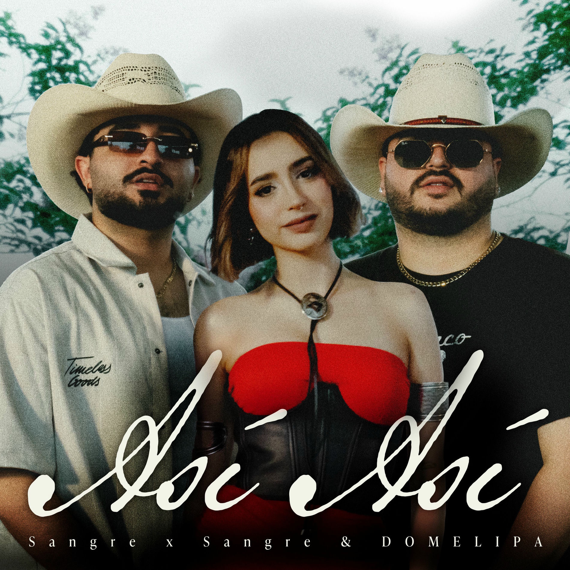 Album cover of ASI ASI