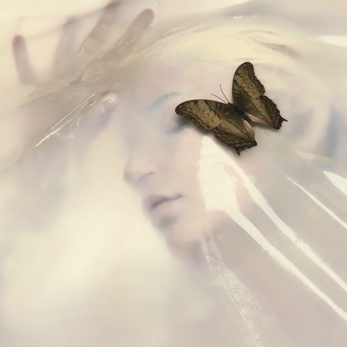Album cover of Speak Like the Dead